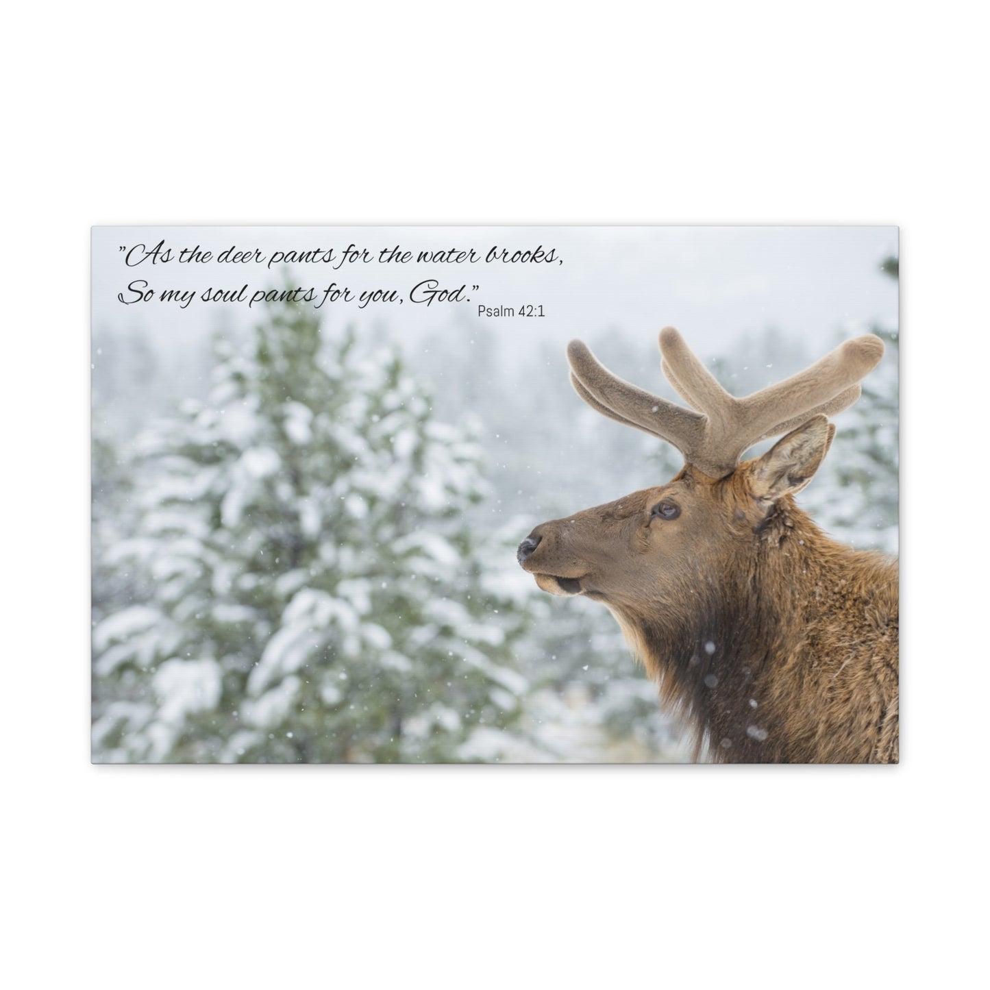 Wall Art Canvas - Deer in Snow with Psalm 42:1 Quote