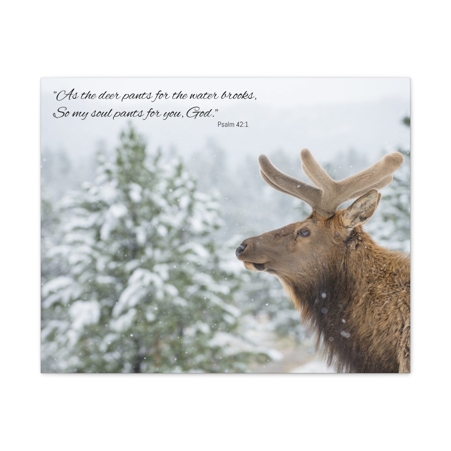 Wall Art Canvas - Deer in Snow with Psalm 42:1 Quote