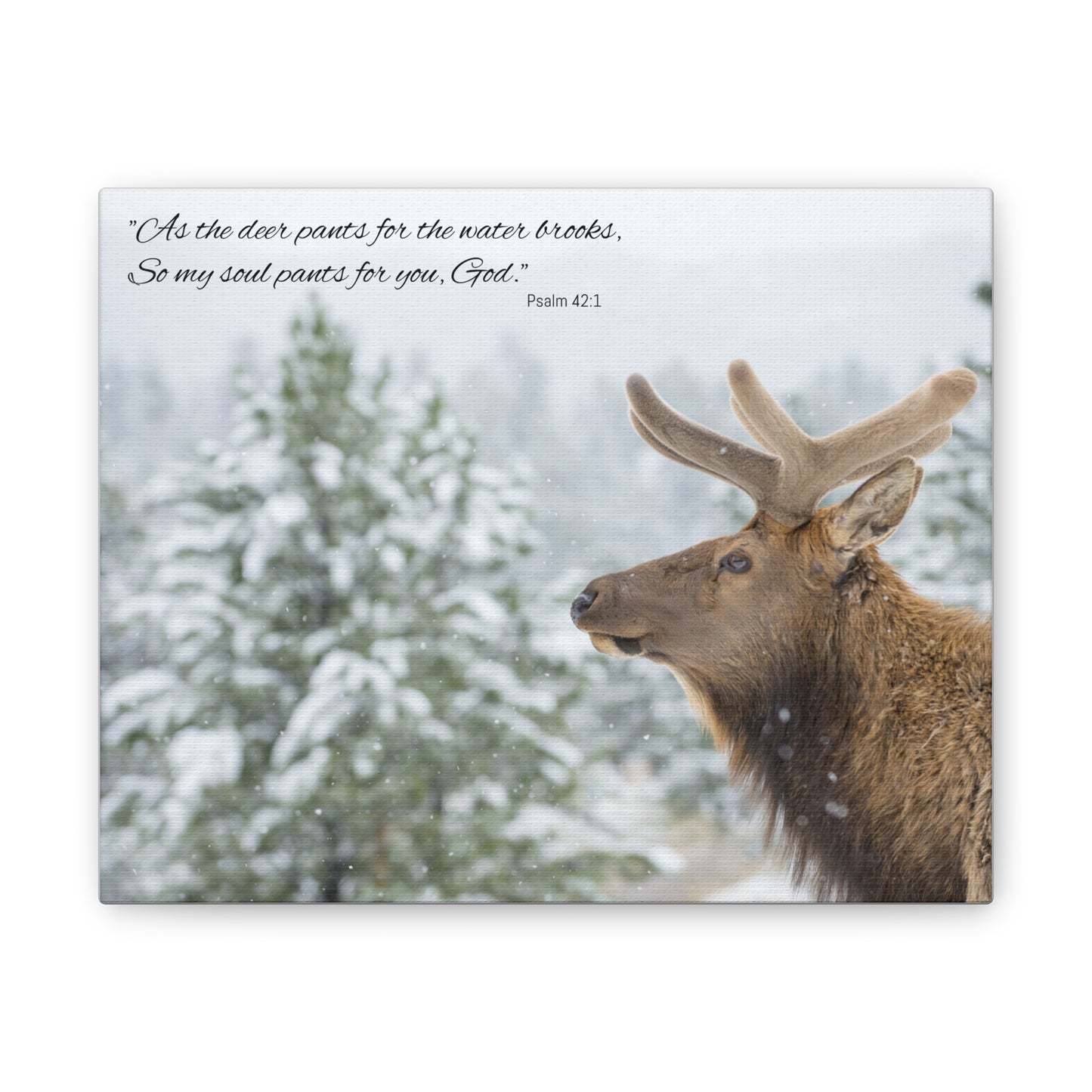 Wall Art Canvas - Deer in Snow with Psalm 42:1 Quote