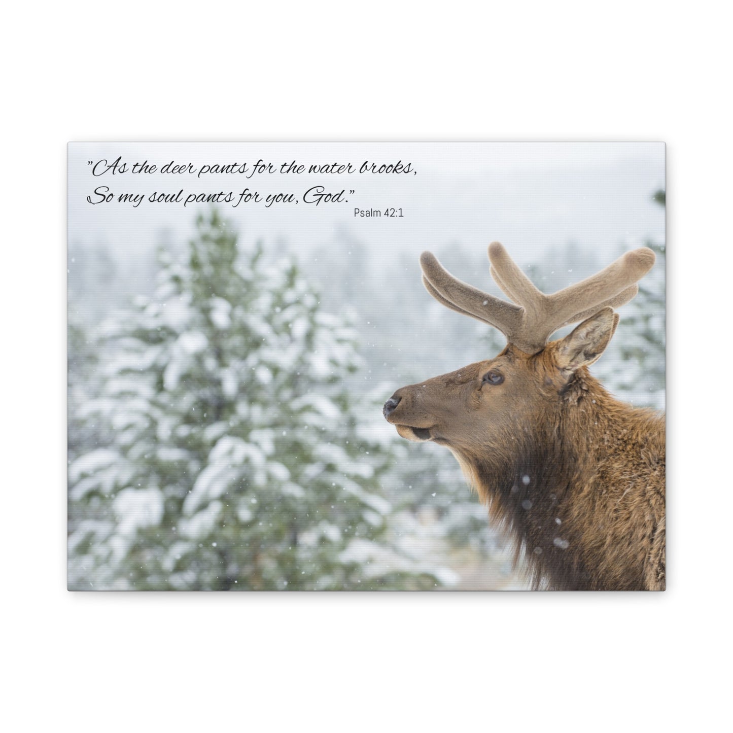 Wall Art Canvas - Deer in Snow with Psalm 42:1 Quote